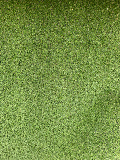 Pasto verde